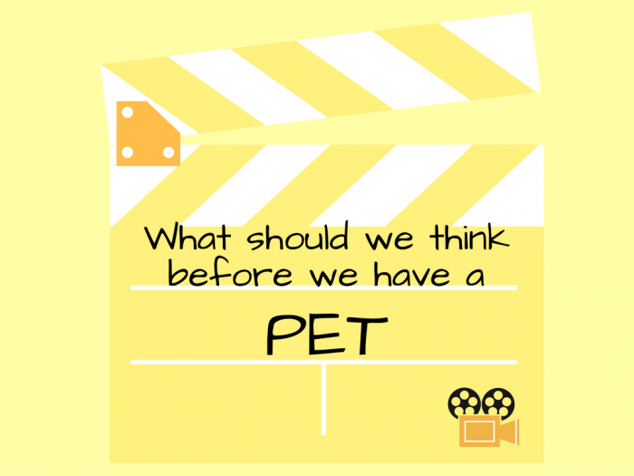 video | pets | dogs | pomeranians | poms | to have a pet | to have a dog | what to consider before having a pet