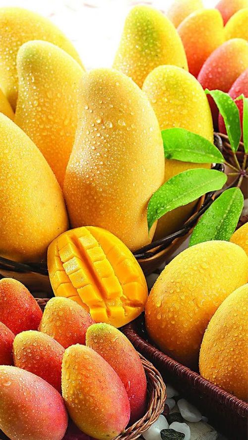 beleza | nutrição | dicas de nutrição | saúde | emagrecimento | dieta | frutas | 24 tipos de frutas para consumir | benefícios das frutas | como emagrecer e ser saudável | emagrecendo com saúde | nutrindo o corpo | post sobre nutrição