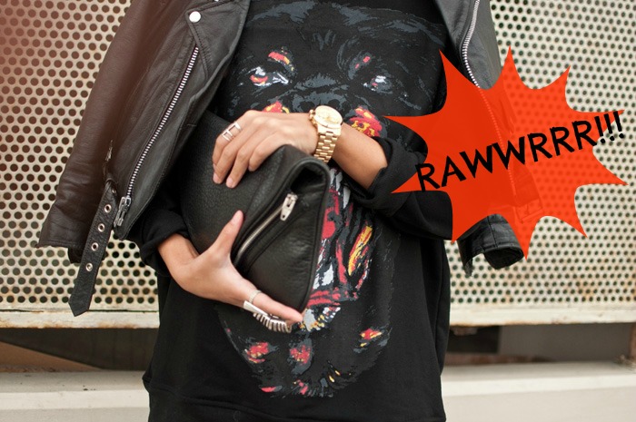 Moda | roupas | roupa | sobre moda | vestido | moda roupa | roupa da moda | blusas | vestidos de festa | vestido para festa | roupas da moda | animal print | tendências 2013 | estampas onça | estampas de bicho | animal prints | como usar animal print | r