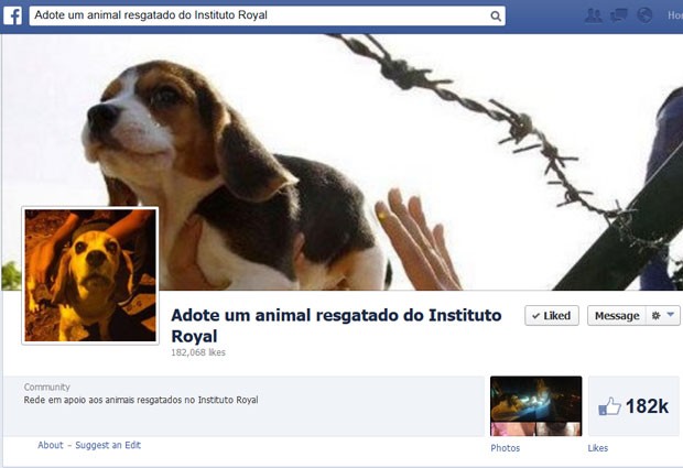 blog de moda | entretenimento | animais | proteção dos animais | vivissecção | contra a vivissecção | lei para proibir a vivissecção | assine a petição contra a vivissecção
