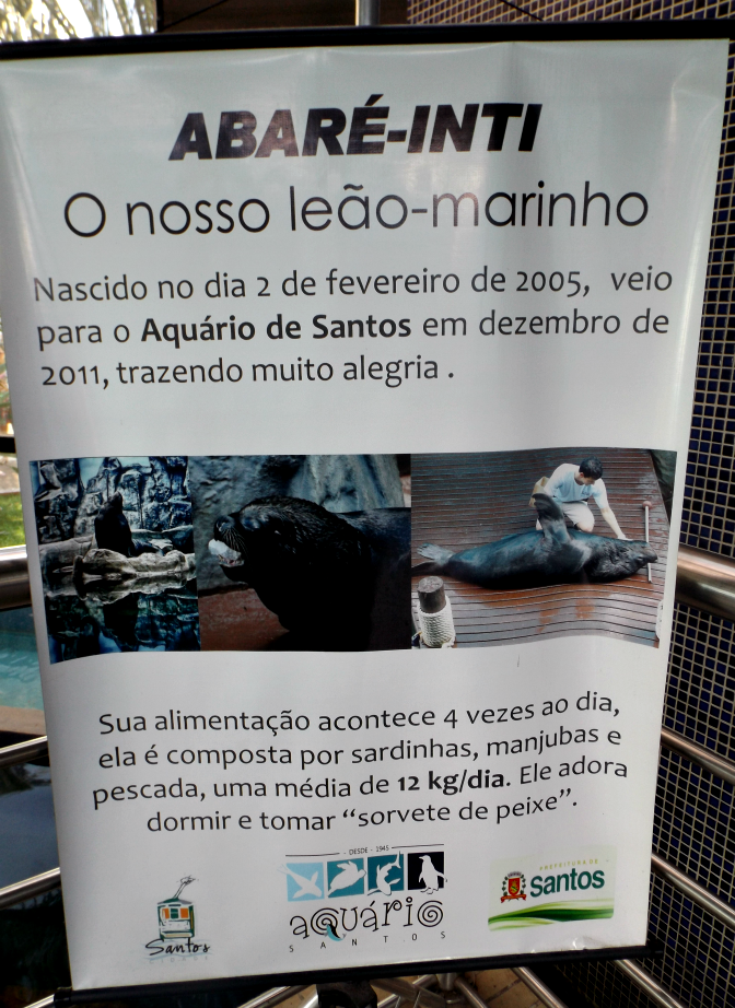 entretenimento | dica de passeio | turismo | dica de lugares para visitar | turismo em Santos | pontos turísticos em Santos | Aquário de Santos | Aquário Municipal de Santos | dica para turistas em Santos
