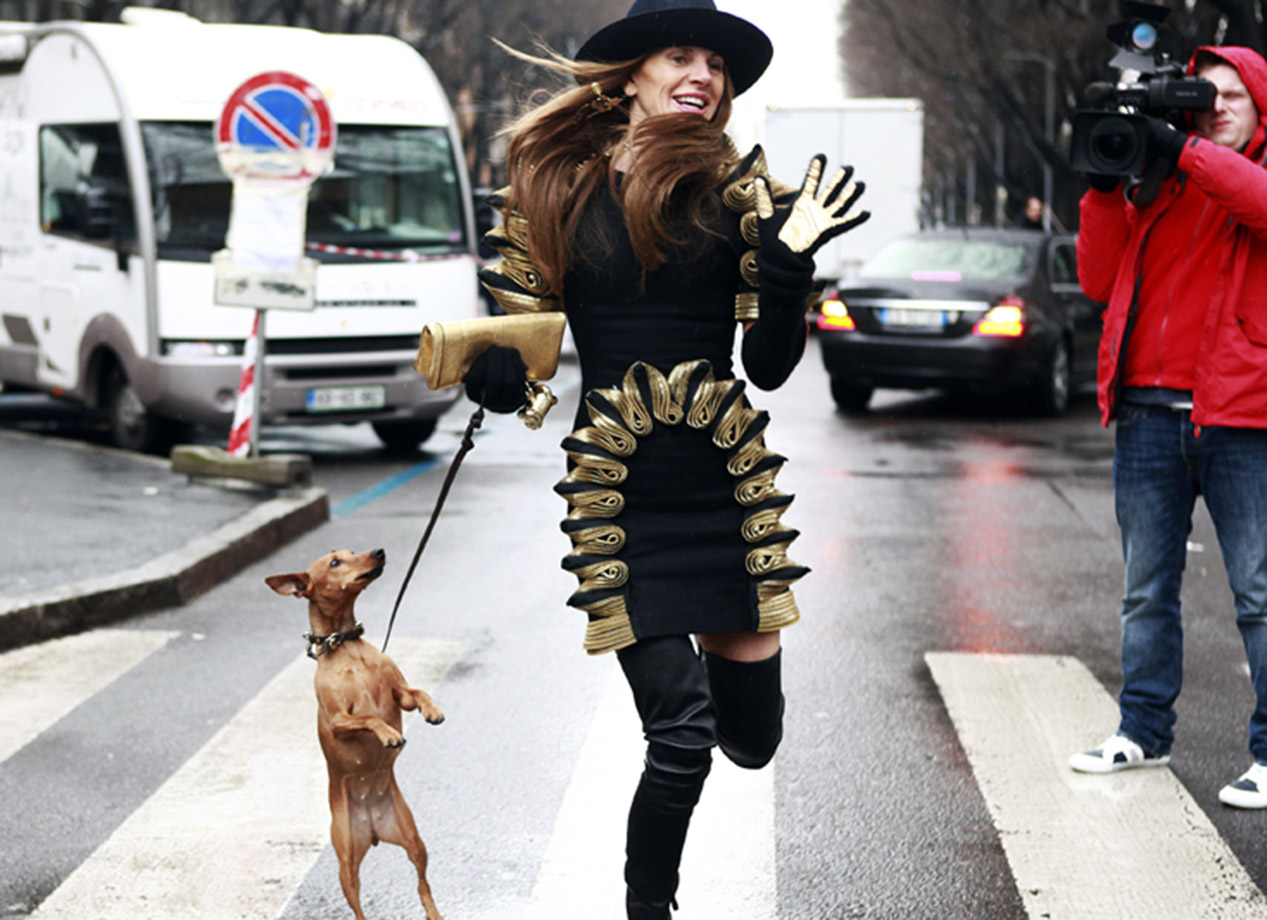 entretenimento | famosos | celebridades | pets dos famosos | animais de estimação dos famosos | famosos da moda com seus pets | animais de estimação dos fashionistas