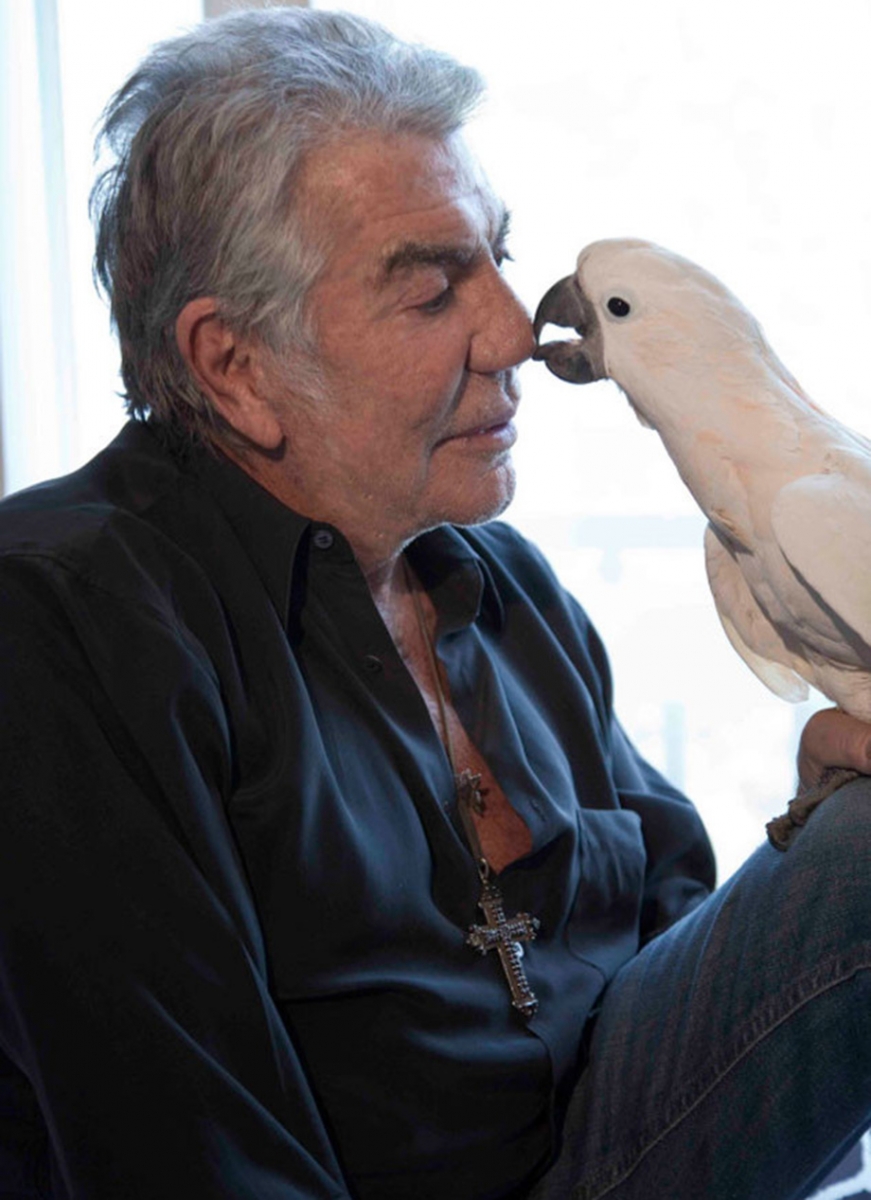 entretenimento | famosos | celebridades | pets dos famosos | animais de estimação dos famosos | famosos da moda com seus pets | animais de estimação dos fashionistas