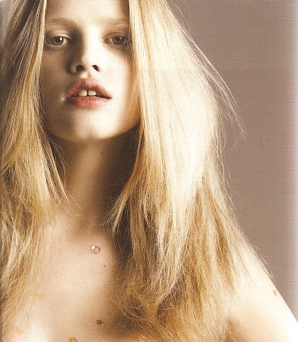 blog de moda | beleza | sobre beleza | produtos de beleza | LOreal | Lara Stone novo rosto da LOreal