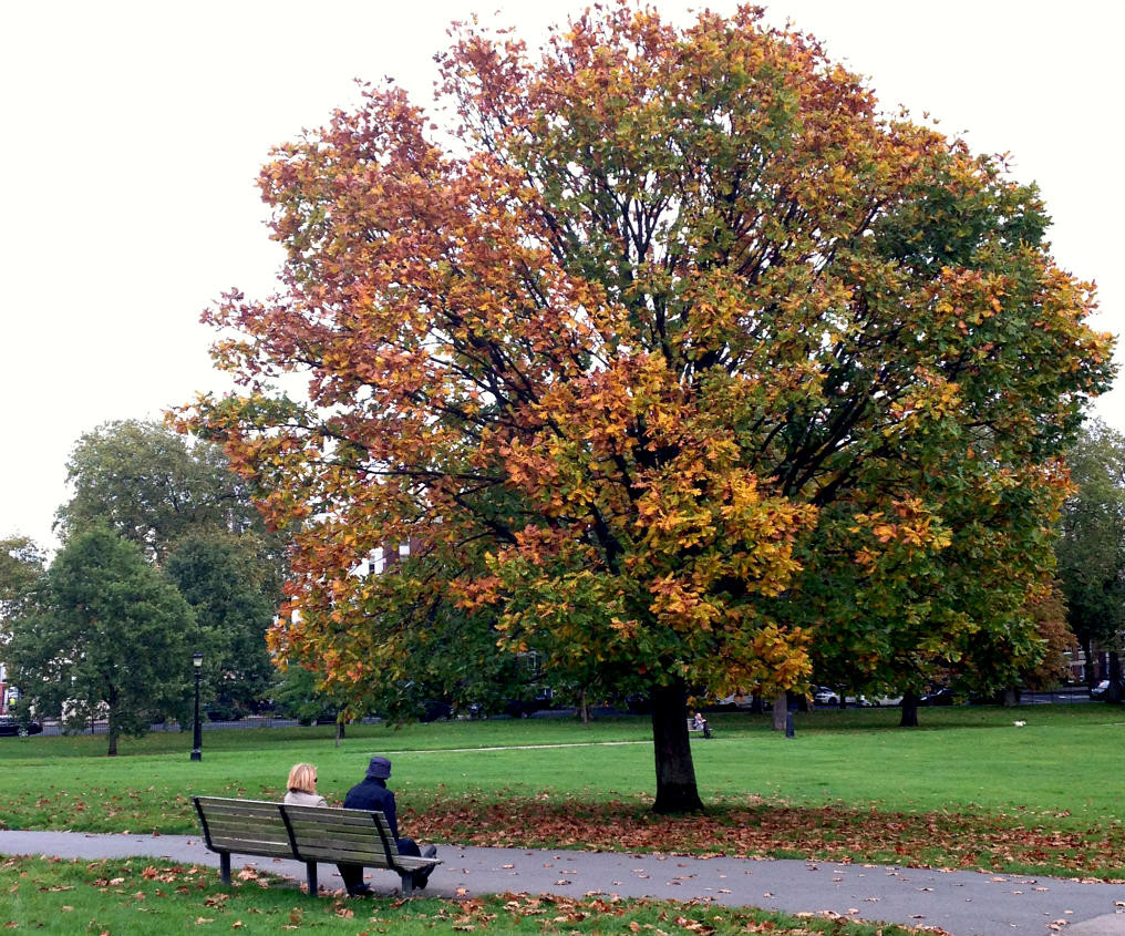 entretenimento | viagens | viagem a Londres | diário de viagem | londres perrengues | londres momentos maravilhosos | lindizzima em Londres