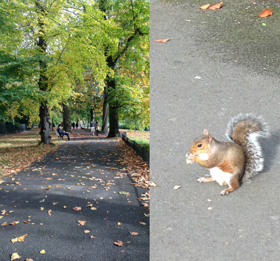 entretenimento | viagens | viagem a Londres | diário de viagem | londres perrengues | londres momentos maravilhosos | lindizzima em Londres