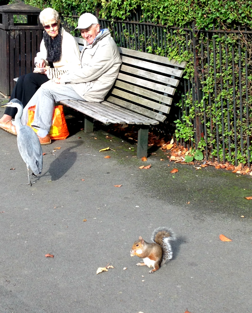 entretenimento | viagens | viagem a Londres | diário de viagem | londres perrengues | londres momentos maravilhosos | lindizzima em Londres