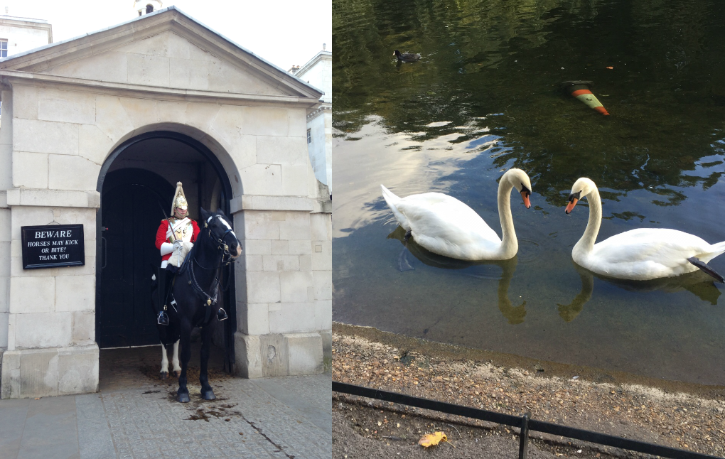 entretenimento | viagens | viagem a Londres | diário de viagem | londres perrengues | londres momentos maravilhosos | lindizzima em Londres