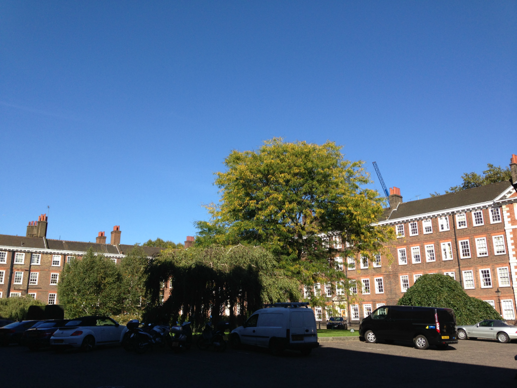 entretenimento | viagens | viagem a Londres | diário de viagem | londres perrengues | londres momentos maravilhosos | lindizzima em Londres