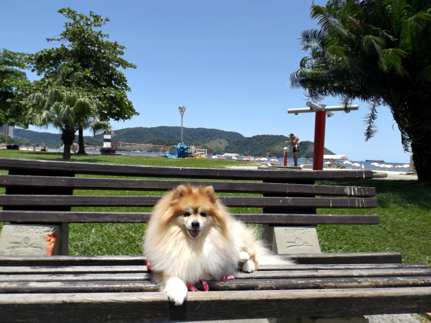 moda | look do dia | look para o dia | look com chapéu floppy | verão 2015 | como usar vestido com chapéu | sapato flat | vestido Forever 21 | vestido étnico | estampa étnica
