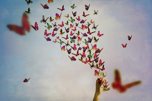 entretenimento | música | novas músicas | músicas para desapegar | playlist | lista de músicas para aliviar o coração | músicas para sair da fossa