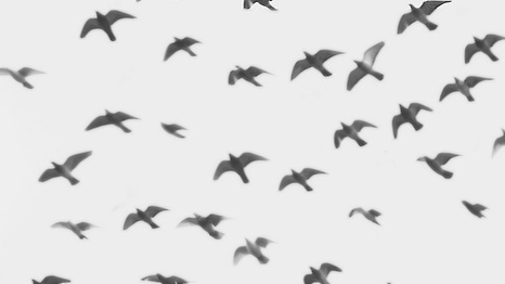 relacionamento | pessoas | cotidiano | gente | traição | mentiras | mentiras e traições | como lidar com uma mentira | problemas de relacionamento | dicas de relacionamento