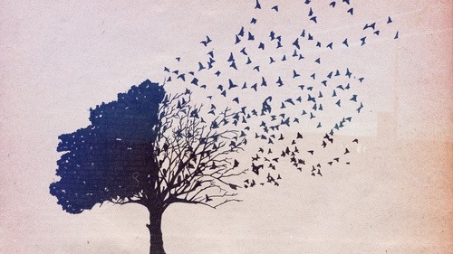 relacionamento | pensamento positivo | otimismo | poder positivo | o poder do pensamento positivo | a força do pensamento