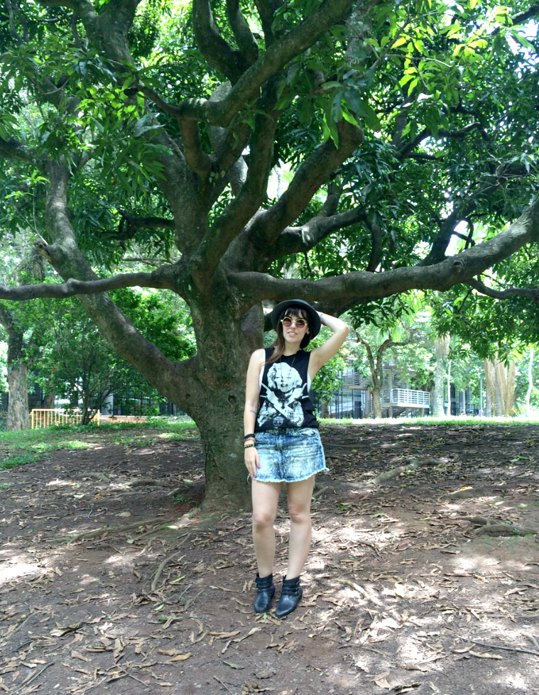 entretenimento | passeios | sair sem gastar | dicas de passeios baratos | parque Ibirapuera São Paulo | passeio no Ibirapuera | sair sem gastar Lindizzima