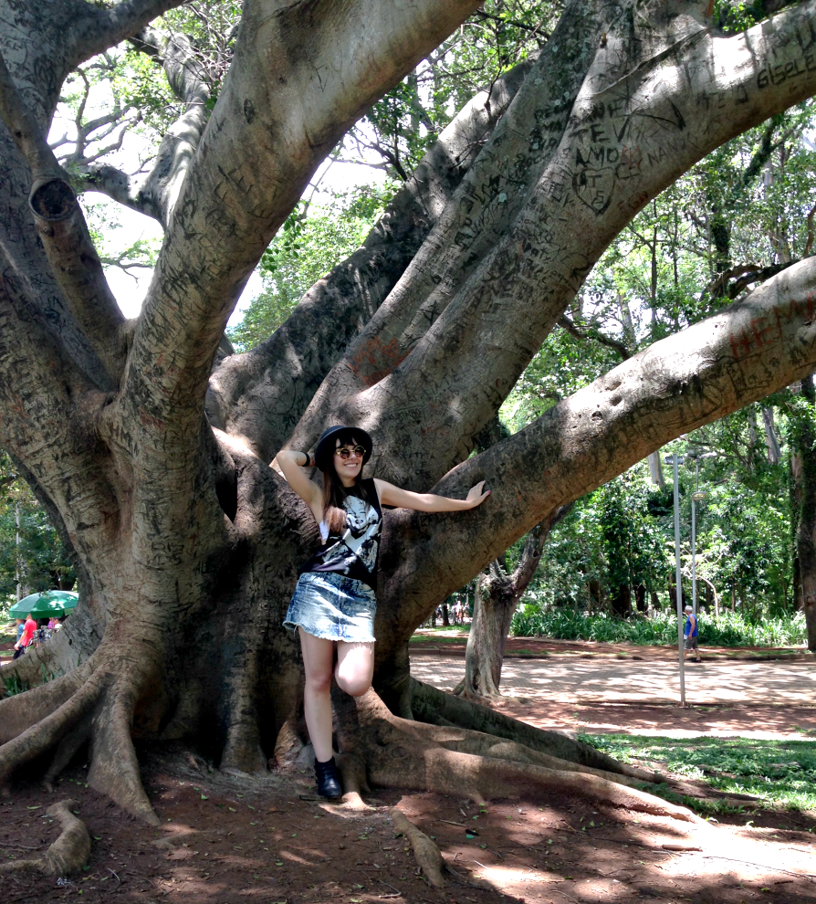 entretenimento | passeios | sair sem gastar | dicas de passeios baratos | parque Ibirapuera São Paulo | passeio no Ibirapuera | sair sem gastar Lindizzima