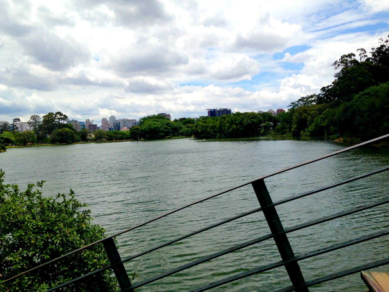 entretenimento | passeios | sair sem gastar | dicas de passeios baratos | parque Ibirapuera São Paulo | passeio no Ibirapuera | sair sem gastar Lindizzima