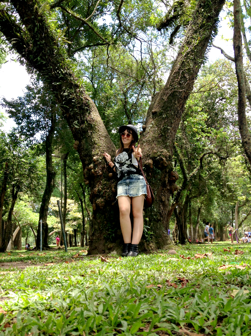 entretenimento | passeios | sair sem gastar | dicas de passeios baratos | parque Ibirapuera São Paulo | passeio no Ibirapuera | sair sem gastar Lindizzima