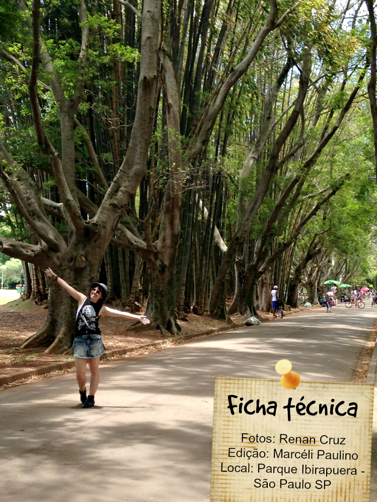 entretenimento | passeios | sair sem gastar | dicas de passeios baratos | parque Ibirapuera São Paulo | passeio no Ibirapuera | sair sem gastar Lindizzima
