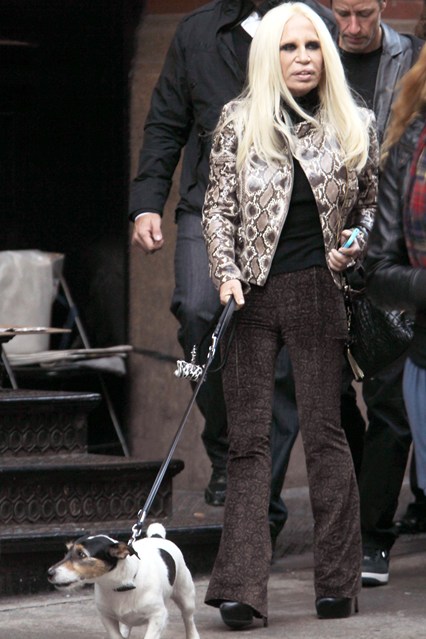 entretenimento | moda | pets | animais de estimação | pets do mundo da moda | animais de estimação dos famosos | moda e famsos