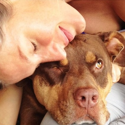 entretenimento | moda | pets | animais de estimação | pets do mundo da moda | animais de estimação dos famosos | moda e famsos