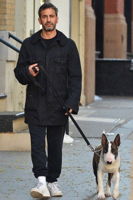 entretenimento | moda | pets | animais de estimação | pets do mundo da moda | animais de estimação dos famosos | moda e famsos