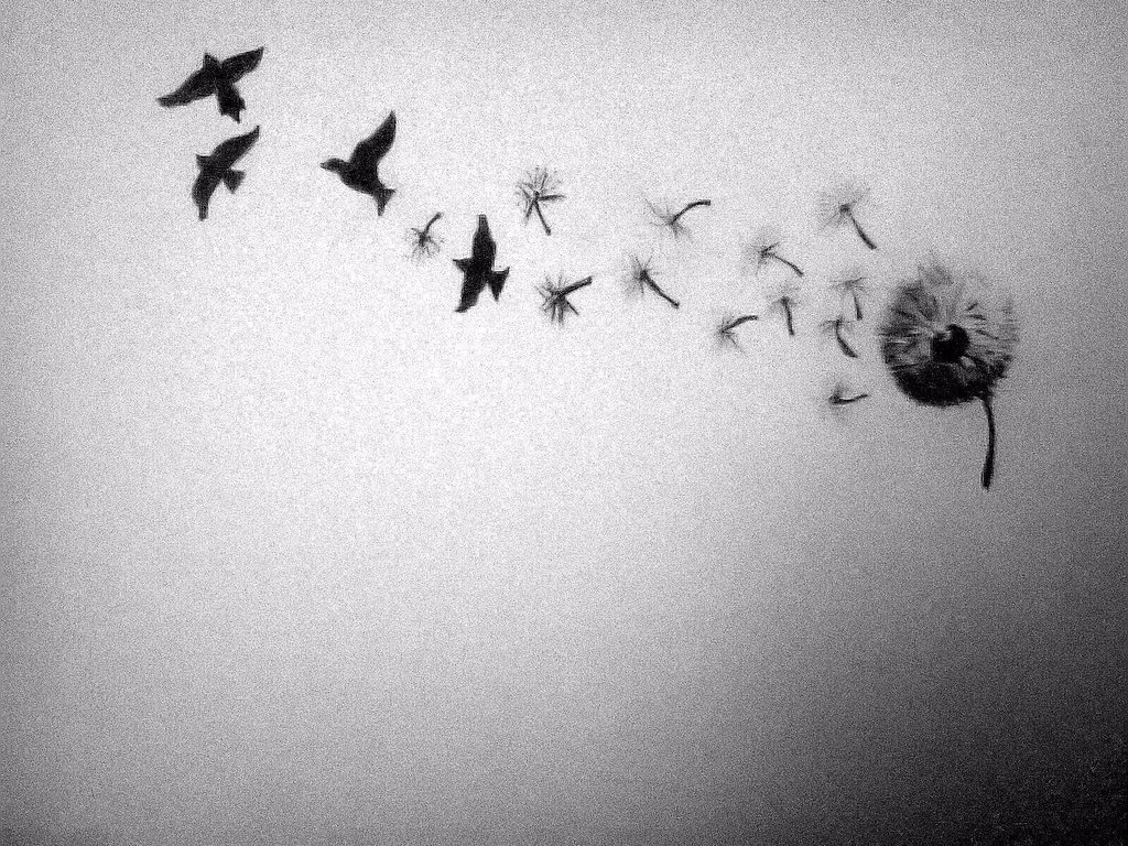 relacionamento | correr atrás | desapegar | não dar tanta importância | conquistar a importância do outro | sobre relacionamentos | casais | namorado